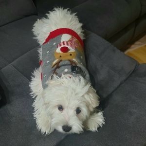 Meet your Posher, Junbo